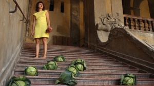 BRASSICA OLERACEA VAR. VIRIDIS